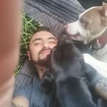 Adrian Alcalde - @animalsfield1 - Instagram