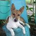 Adrian Alejandre - Facebook