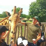 Adrian Alejandro - @adrian.alrega - Instagram
