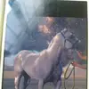 Adrian Aleman - @adrian.aleman422 - TikTok