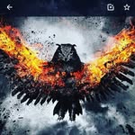 Adrian Angelo evi - @adrianangeloevi - Instagram