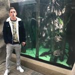 Adrian Ardeleanu - @adi_ardeleanu13 - Instagram