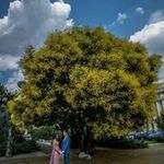 Adrian Ardeleanu - @ardeleanu.adrian.92 - Instagram