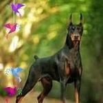 Adrian Ardeleanu - @adrian.ardeleanu.125 - Instagram