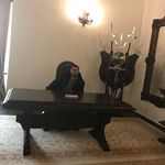 Adrian Ardeleanu - @adrian.ardeleanu.9 - Instagram