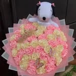 arianne(^o^)/ aceneth - @arianneaceneth - Instagram