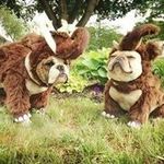 Adrian A.K.A. (Bacon) - @adriana.k.a.bacon - Instagram
