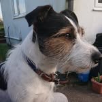 Adrian Sadzikowski - @adrian_bacon12 - Instagram