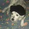 otto - @adrianabarbieri28 - TikTok