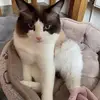 adrianabarlow1 - @adrianabarlow1 - TikTok
