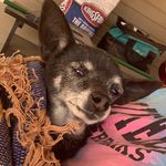 adrian barnaby - @draconicdetective - Instagram