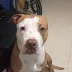 Adrian Baron - @adrian.baron.1610 - Instagram