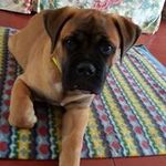 Adriano Barsotti - @barsottiadriano - Instagram