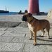 Adriano Barsotti - Facebook