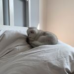 Adrian Barth - @adrianbarth1337 - Instagram
