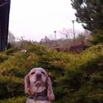 Adrian Basak - @adrian.basak - Instagram