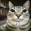 Adrian 😁 - @adrian.basurto8 - TikTok
