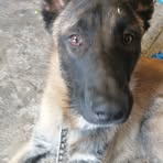 Adrian Basurto - Facebook