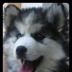 Adrian Basurto - @basurto.adrian - Instagram