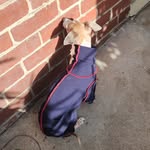 Adrian Bateman Harris - @hotmailboi69 - Instagram