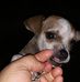 Adrián Batres - Facebook