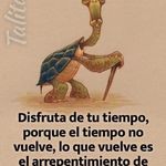 Adrian Batres - @donis_batres - Instagram