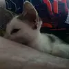 adrian - @batutestyle - TikTok
