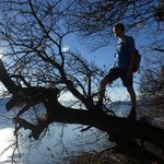 Adrian Baumgartner - @adiboemel - Instagram