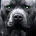 Adrian Beamon - Facebook