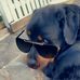 Adrian Beard - Facebook