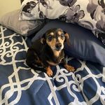 Adrian Beaverbones - @adrianbeaverbones - Instagram
