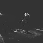 Adrian Belew - @theodddibitils - Instagram
