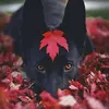 Adrian Ben - @adrianben0 - TikTok