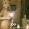 Adrian Benavides - @adrian.benavides38 - TikTok