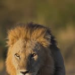 Adrian Benham - Facebook