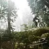 adriandebenham - @adriandebenham4 - TikTok