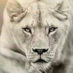 Adrian Benites - @benites8927 - Instagram