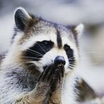 Adrián Benito - @adrianbenito06 - Instagram
