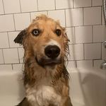 Adrian Benson - @adri.anbenson - Instagram