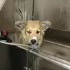 Tik Toker - @adrian.benson - TikTok