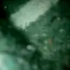 adrianberariu983 - @adrianberariu983 - TikTok