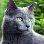 ADRIAN - @adrianbergstrom - Instagram
