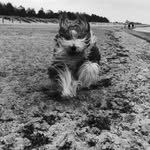 Adrian Bernhardt - @adrian.bernhardt.9 - Instagram
