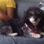Adriana Berroteran - @adriana.berroteran.5030 - Instagram