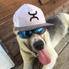 user3821115147320 - @adrianbeyer0 - TikTok