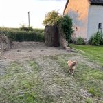 Adrian Biggs - @biggs_ady - Instagram