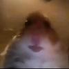 Adrian Billy - @adrianbilly0 - TikTok