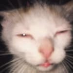 Adrián Blancas - @adri.blancs - Instagram