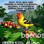 ADrian Blandon - @adrian.blandon.775 - Instagram