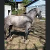 Adriánblandon4 - @adrianblandon5 - TikTok